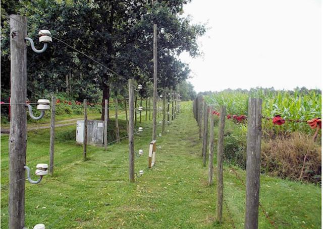 La Petite Fleur Villa Baarle-Nassau Dış mekan fotoğraf